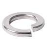 Pack of 50 M10 Stainless Steel Spring Washers DIN 127
