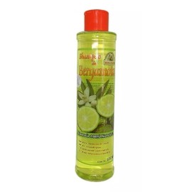 Nolisan 2 Shampoos Bergamota Nolisan 100% Natural Mas Envio Gratis