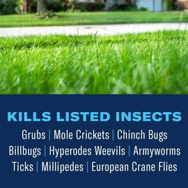 BioAdvanced Season Long Grub Control, Ready-to-Spread Granules for Insects, 10 LB