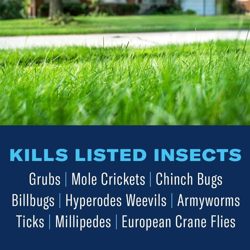 BioAdvanced Season Long Grub Control, Ready-to-Spread Granules for Insects, 10