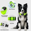 Myiwb GPS Dog Collar Tracker 2-in-1,Reflective Waterproof Adjustable Pet Collar,iOS-Only,Ideal