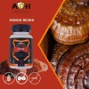 A4h Hongo Reishi 90 Cáps Antioxidante Antiinflamatorio Sabor Sin Sabor