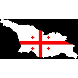 OwnTheAvenue Georgia GA Flag State Outline Vinyl Sticker