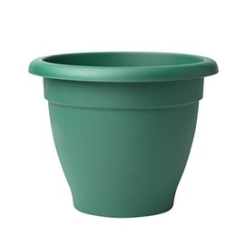 Stewart 2002019 33 cm Essentials Planter - Dark Green