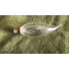 ABCO Petite Pinch 40 watt 120v clear Flame Tip light