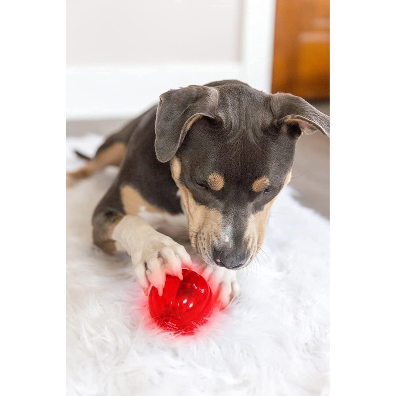 Pet Qwerks Blinky Babble Ball - Flashing Interactive Chew Dog
