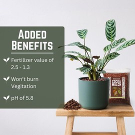 [4 Quarts] Cocoa Mulch for Plants, Garden, Flower Beds, Indoor & Outdoor Plants - Organic Cocoa Bean Shell Mulch | Moisture Retaining, Weed Preventing, Landscaping Mulch