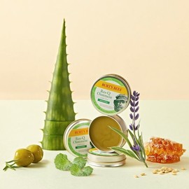 Burt's Bees 버츠비 레스큐오인트먼트 시카 17g 듀오 Burt's Bees Rescue Ointment Cica 17g Duo