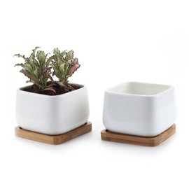 T4U Succulent Planters, Pots with Bamboo Saucers, Rectangular Ceramic Cactus Container, Planter Boxes - Desktop Decoration for Birthday, Wedding