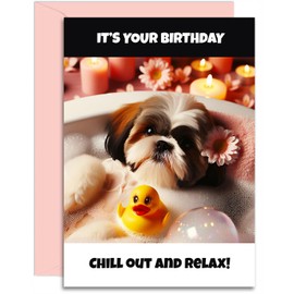 Shih Tzu Birthday Card - Chill out and Relax - A5 Size with Pink Envelope. Funny Card for her, mum, nan, auntie, sister, daughter. Designed and Printed in the UK