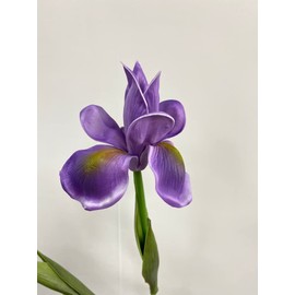 Rikyo 4pc Artificial Iris Flower Silk Flower,Flower Bouquet,Long Stem 18" Fake Ireland PU Flower for Arrangements Table Centerpiece,Party and Wedding,Flowers Artificial for Decor (Purple)
