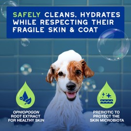 Douxo Skin & Coat SPA Ultra-Safe Puppy Shampoo, 250 ml, Cleans & Deeply Hydrates the Skin, Enhances the Fur, Leaves the Fur Soft & Shiny, Skin-Friendly Formula