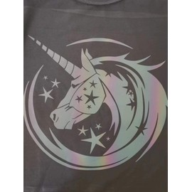 guangyintong Rainbow Reflective Heat Transfer Vinyl Roll for T- Shirt (Reflective Rainbow 12 feet)