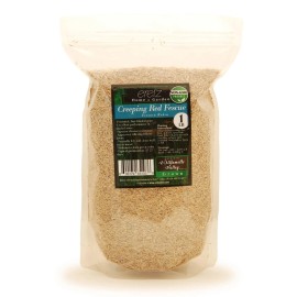 Eretz Creeping Red Fine Fescue Grass Seed by Eretz - CHOOSE SIZE! Premium Oregon Grown - 25lb