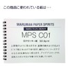 Maruman Sketchbook L Size Croqui Pad, White Croqui Paper, Blue,