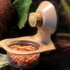 2 Pack Reptile Feeder Gecko Lizard Feeding Cup with Suction