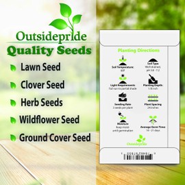 Outsidepride 100 Seeds Perennial Agastache Mexican Hyssop Fragrant Delight Flower Seed Mix for Planting