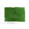 BETHEL Gotta Go Grass -Dog Natural Grass Patch Potty -Real