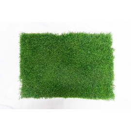 BETHEL Gotta Go Grass -Dog Natural Grass Patch Potty -Real Dog Grass for Pet Training -Refill Dog Grass Pad -Puppy Potty Training - Dog Accessories - Perfect Indoor/Outdoor Portable Potty Pet Loo