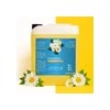 Shampoo Capilar De Manzanilla 5 Litros
