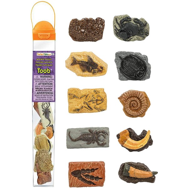 Safari Ltd. | Ancient Fossils - 10 Pieces | TOOBs Collection | Miniature Toy Figurines for Boys & Girls