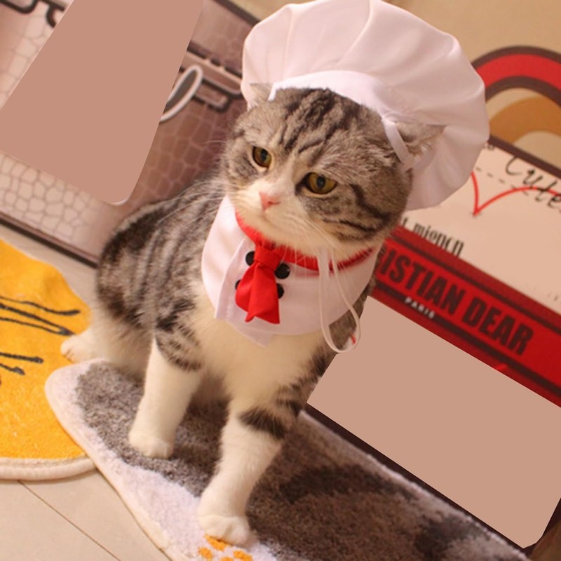 White Pet Hat Chef Appearance Pet Clothing Soft S Dog