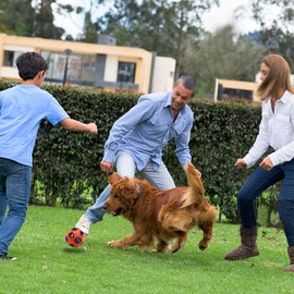 Rolin Roly Leuchtend Glow Ball Blinkender Ball Hundeball Hundebälle Hundespielzeug Ball mit LED Licht Spielball für Hunde Bissfest Hundespielzeug Ball