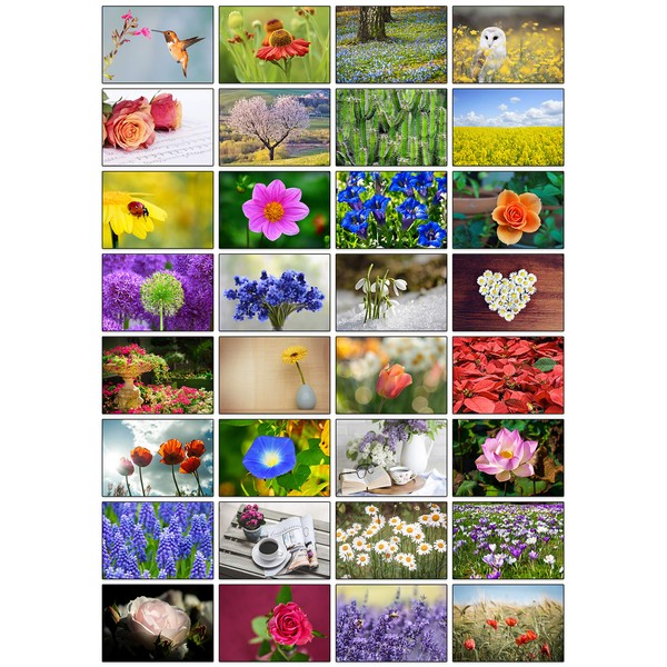 32 Different Flower Photo Blank Greeting Cards