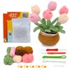 RMTIME Crochet Kit for Beginners, Tulip Crochet Kit, Beginner Crochet