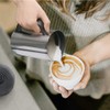 Secura Milk Frother, Electric Milk Steamer Stainless Steel, 8.4oz/250ml Automatic