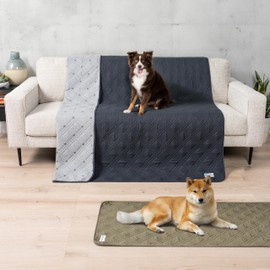 PetAmi Waterproof Couch Cover for Dogs, Reversible Furniture Cover Sofa Protector for Pet Cat Bed, Washable Blanket Dog Cover for Couch Seat, 52x82 Gray