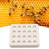 Wax Queen Grafting Cups Silicone Mold Beekeeping Beeswax Queen Cell