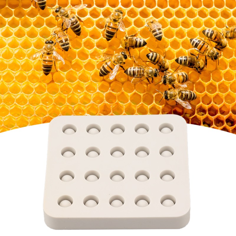 Wax Queen Grafting Cups Silicone Mold Beekeeping Beeswax Queen Cell