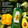 HERBAL ESSENCES BioRenew, Shampoo sin sulfatos ni parabenos para cabello