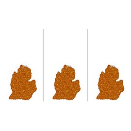 The Scented Castle 3 Pack Caramel Cinnamon Latte Scented Michigan Shape Car Air Fresheners