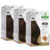 MEILAB Permanent Hair Colour without Ammonia - Pack of 3