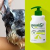 Douxo S3 SEB Shampoo, Contains 0.5% Ophytrium, Odor Control &