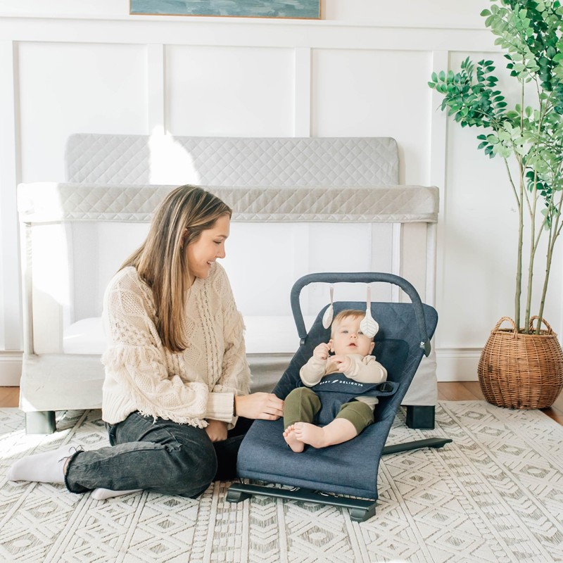 Baby Delight Alpine Deluxe Portable Bouncer, Infant, 0 – 6