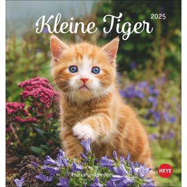 Katzen Postkartenkalender Kleine Tiger 2025: Entzückende Katzenkinder in einem kleinen Kalender zum Aufhängen oder Aufstellen. Tierischer ... für Katzenfans. (Postkartenkalender Heye)