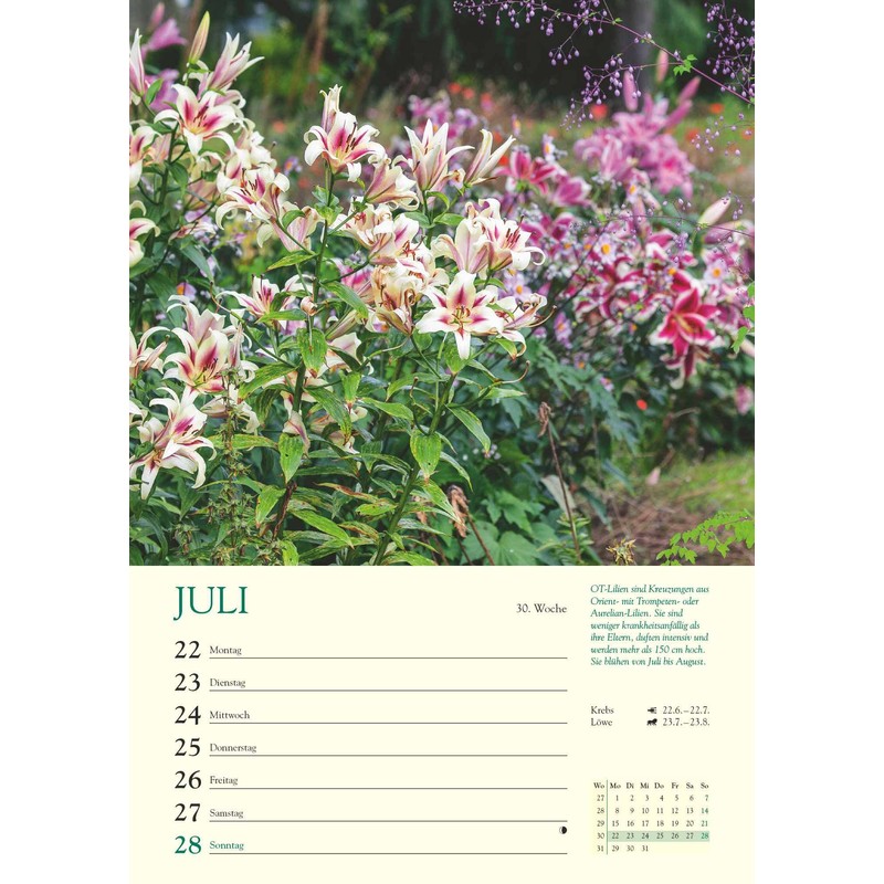 WK 2024 A Year in My Garden: With Many Useful