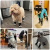Billionchains Dog Boots for Small to Large Breed, Waterproof Paw