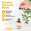 Active Turmeric - Advanced Liquid Supplement - Curcuma Longa Extract