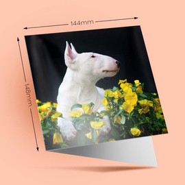 1 x Greeting Card English Bull Terrier Puppy Dog - Blank Birthday Celebration Anniversary #21500