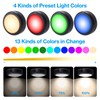 Cadrim Puck Lights, 1 Pack 13 Colors Changeable LED Puck