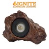 Ignite Landscape Lighting 1.5-Watt Rock Light for Landscape Lighting, Ponds,