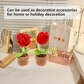 Crochet Kit for Beginners,Crochet Flowers Kit,Crochet Knitting Kit,Beginner Crochet Kits for Adults,with Crochet Hooks,Yarn, Stitch Markers, Stuffing and Instructions (Red 6pcs)