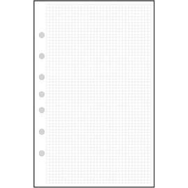 Classic Size Graph Paper Refill, 0.125" (1/8”) Spacing, Sized and Punched with 7 Holes for 7-Ring Notebooks Such as Franklin, etc. (5.5" x 8.5")