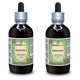 Anastatica, Khus (Anastatica Hierochuntica) Dried Whole Plant Alcohol-Free Liquid Extract (Brand Name: HerbalTerra, Proudly Made in USA) 2x4 oz