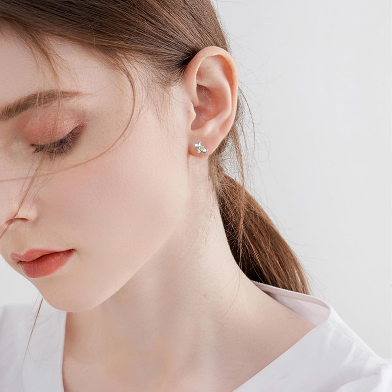 Capybara Gifts Capybara Earrings 925 Sterling Silver Capybara Stuff Birthday
