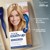 Clairol Root Touch-Up by Nice'n Easy Permanent Hair Dye, 10